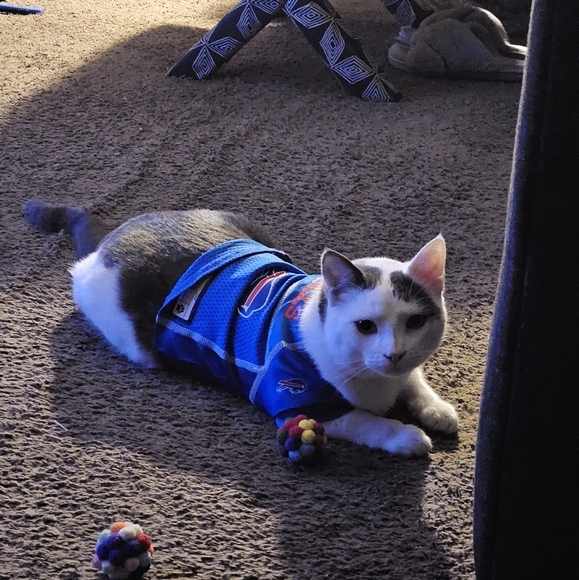 Meet your Posher, Ellen - Picture 2 of 5